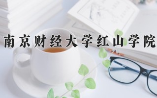 南京财经大学红山学院王牌专业有哪些？附2025最新王牌专业排名一览表
