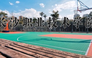 2025年长沙职业技术学院在河南计划招生人数（附学费及专业录取分)
