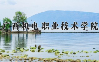 2025年广西机电职业技术学院在河南计划招生人数（附学费及专业录取分)