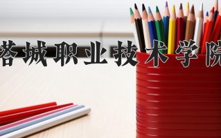 2024年塔城职业技术学院录取分数线，青海最低246分