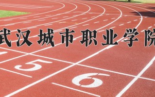 2025年武汉城市职业学院在河南计划招生人数（附学费及专业录取分)