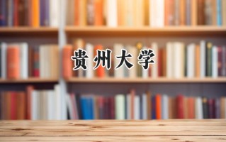 贵州大学2024在新疆录取分数线是多少？最低446分/最高480分