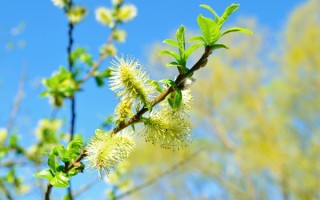 白露还热吗？从传统节气看此时气温变化趋势