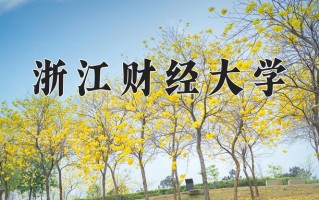 2025年浙江财经大学在河南计划招生人数（附学费及专业录取分)