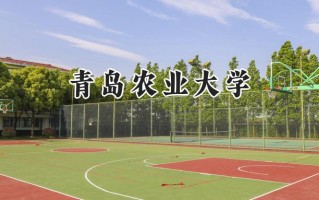 2024青岛农业大学录取分数线：江苏最低518分
