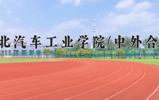 2025年湖北汽车工业学院(中外合作)在四川计划招生人数（附学费及专业录取分)