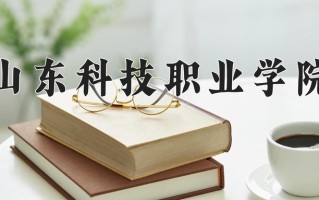 2025年山东科技职业学院在新疆计划招生人数（附学费及专业录取分)