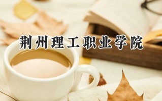 荆州理工职业学院2024在青海录取分数线是多少？最低248分/最高324分