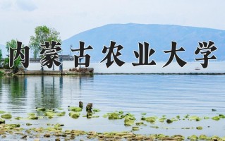 2025年内蒙古农业大学在河南计划招生人数（附学费及专业录取分)