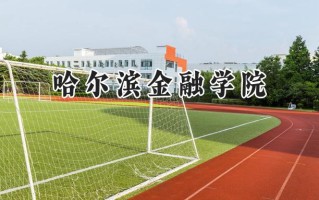 哈尔滨金融学院2024在上海录取分数线是多少？最低416分/最高425分