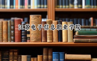 2024江苏电子信息职业学院录取分数线：宁夏最低343分