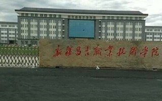 2024年昌吉职业技术学院录取分数线，宁夏最低316分
