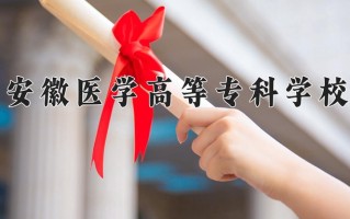 2025年安徽医学高等专科学校在新疆计划招生人数（附学费及专业录取分)