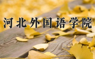 2025年河北外国语学院在四川计划招生人数（附学费及专业录取分)
