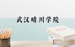 武汉晴川学院2024在福建录取分数线是多少？最低431分/最高490分