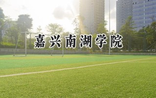 嘉兴南湖学院2024在江苏录取分数线是多少？最低503分/最高541分
