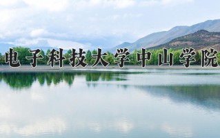 2025年电子科技大学中山学院在新疆计划招生人数（附学费及专业录取分)