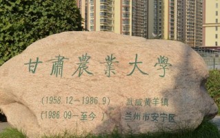 500分左右的车辆工程大学名单及专业分数线（2024填报必看）