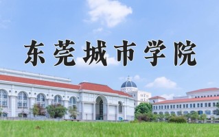 2025年东莞城市学院在河南计划招生人数（附学费及专业录取分)