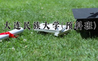 2025年大连民族大学(预科班)在重庆计划招生人数（附学费及专业录取分)