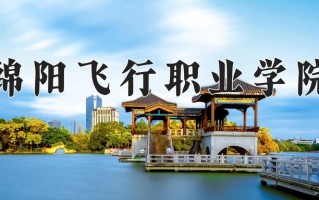 2025年绵阳飞行职业学院在河南计划招生人数（附学费及专业录取分)