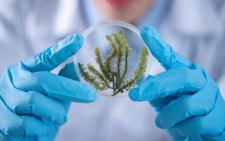 生物科学专业是文科还是理科？生物科学是冷门还是热门专业？
