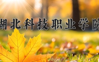 2025年湖北科技职业学院在河南计划招生人数（附学费及专业录取分)