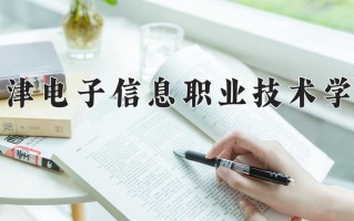 2025年天津电子信息职业技术学院在河南计划招生人数（附学费及专业录取分)