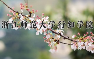2025年浙江师范大学行知学院在新疆计划招生人数（附学费及专业录取分)