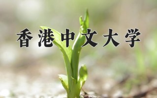 2025年香港中文大学在河北计划招生人数（附学费及专业录取分)