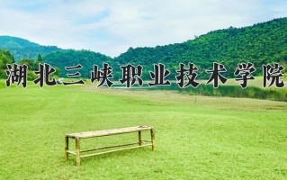 2025年湖北三峡职业技术学院在新疆计划招生人数（附学费及专业录取分)