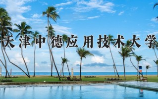 2025年天津中德应用技术大学在河南计划招生人数（附学费及专业录取分)