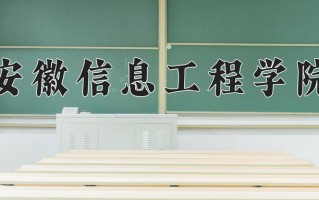 2025年安徽信息工程学院在河南计划招生人数（附学费及专业录取分)