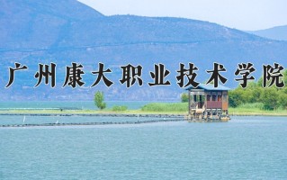 2025年广州康大职业技术学院在新疆计划招生人数（附学费及专业录取分)