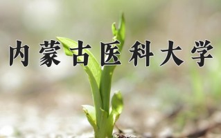 2025年内蒙古医科大学在四川计划招生人数（附学费及专业录取分)