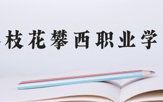 2025年攀枝花攀西职业学院在四川计划招生人数（附学费及专业录取分)