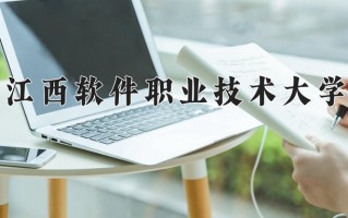 2024年江西软件职业技术大学录取分数线，宁夏最低244分