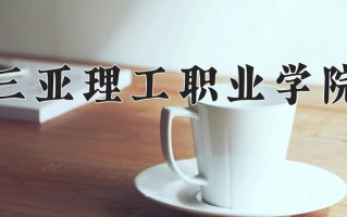 2025年三亚理工职业学院在四川计划招生人数（附学费及专业录取分)