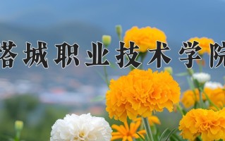 2024年塔城职业技术学院录取分数线，宁夏最低281分