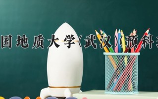 2025年中国地质大学(武汉)(预科班)在重庆计划招生人数（附学费及专业录取分)