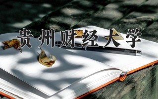 2025年贵州财经大学在新疆计划招生人数（附学费及专业录取分)