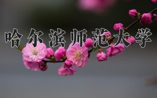 2025年哈尔滨师范大学在河南计划招生人数（附学费及专业录取分)
