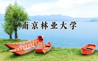 2024南京林业大学录取分数线：新疆最低411分