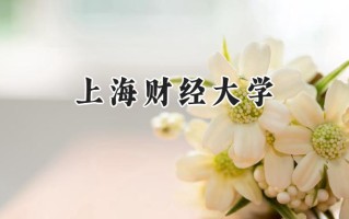 上海财经大学2024在上海录取分数线是多少？最低561分/最高579分