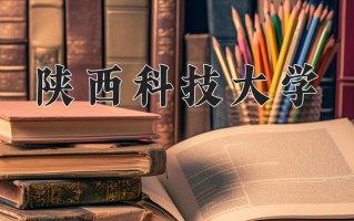 2025年陕西科技大学在四川计划招生人数（附学费及专业录取分)