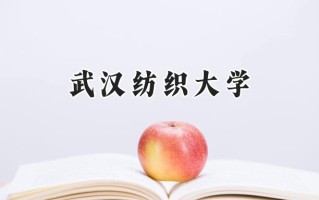 武汉纺织大学2024在山东录取分数线是多少？最低519分/最高554分