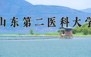 2024年山东第二医科大学录取分数线，宁夏最低416分