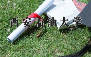 2025年西安石油大学在新疆计划招生人数（附学费及专业录取分)