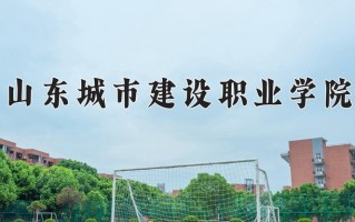 2025年山东城市建设职业学院在四川计划招生人数（附学费及专业录取分)