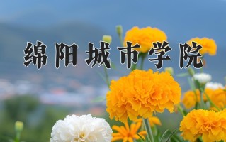 2025年绵阳城市学院在四川计划招生人数（附学费及专业录取分)